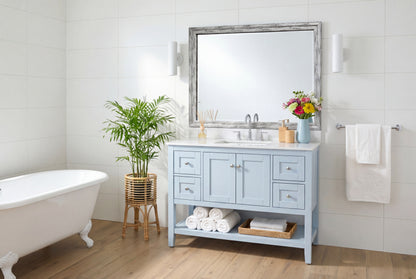 Hudson Silver Birch Frame